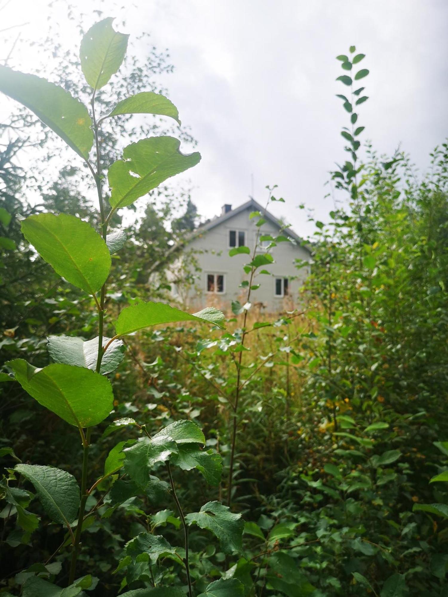 Villa Ka Stor Elvdal Koppang Extérieur photo